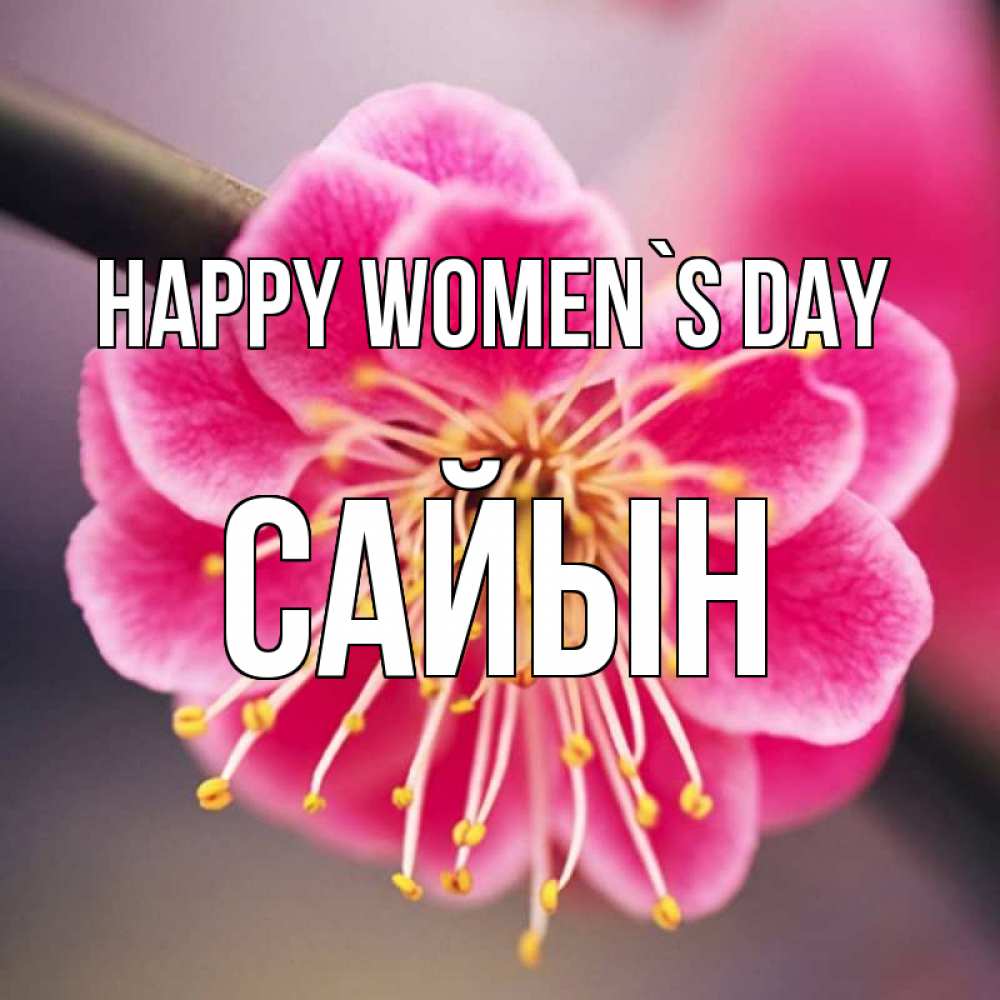 Greetings card с именем, САЙЫН happy women`s day цветы Greetings with text for free download 